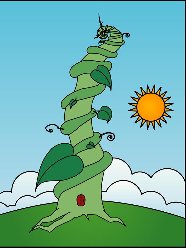 Kaktus Tumbuh Setinggi 3 Lantai Ini Curi Perhatian, Bak dalam Dongeng