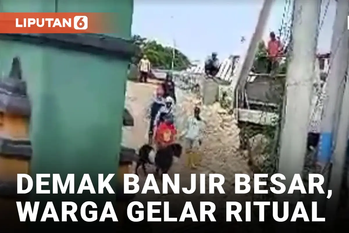 Warga Demak Gelar Ritual Kambing Kendit, Mohon Keselamatan dari Banjir
