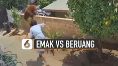 Aksi heroik ditunjukkan oleh seorang emak-emak ini ketika melindungi anjignya dari serangan beruang besar.
