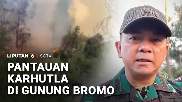 Kondisi Terkini Pemadaman Karhutla Gunung Bromo, 742 Hektare Lahan Terbakar