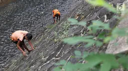 Petugas UPK Badan Air Dinas Kebersihan DKI Jakarta dibantu menggunakan peralatan panjat tebing membersihkan rumput liar di sepanjang turap Kali Baru, Jakarta, Selasa (18/7). (Liputan6.com/Immanuel Antonius)