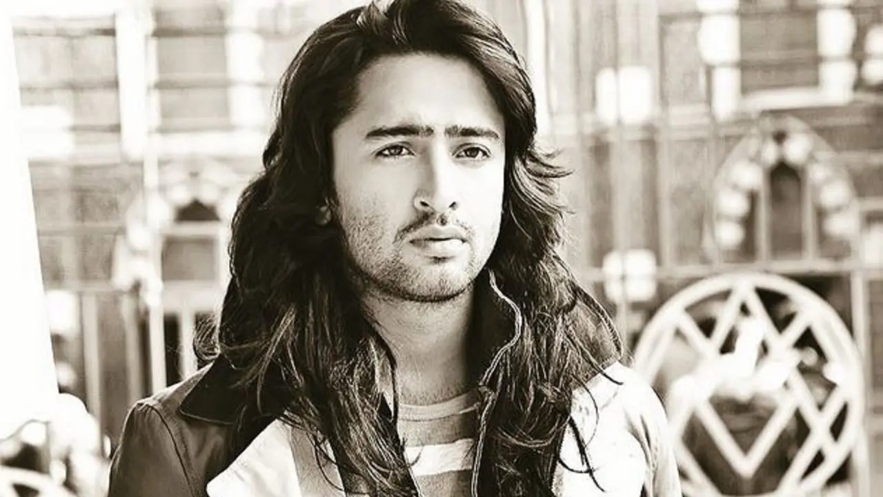 Shaheer Sheikh