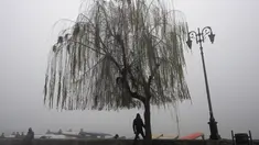 Seorang pria Kashmir berdiri di bawah pohon willow sambil menunggu pelanggan menaiki shikara, gondola perahu dayung tradisional, di tepi Danau Dal pada suatu pagi yang dingin dan berkabut di Srinagar, Kashmir yang dikuasai India, Jumat, 29 Desember. 2023. (AP Photo/Dar Yasin)