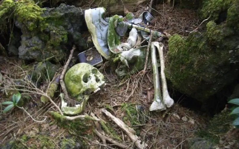 Hutan Aokigahara menjadi lokasi bunuh diri favorit di Jepang