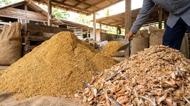 Tepung Ikan