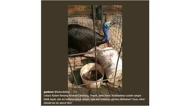 Tak Layak Huni, 4 Potret Mini Zoo Ini Bikin Miris
