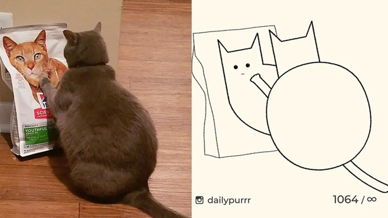 8 Gambar Kucing yang Tak Sesuai Ekspektasi, Ternyata Hasilnya Bikin Salut
