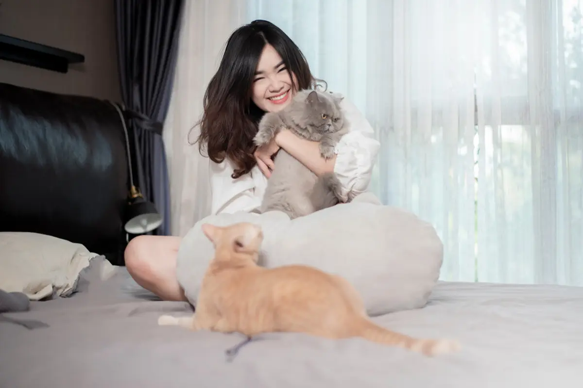 Rayakan Tahun Baru dengan Staycation Bersama Kucing Kesayangan, Apa Saja yang Harus Diperhatikan?