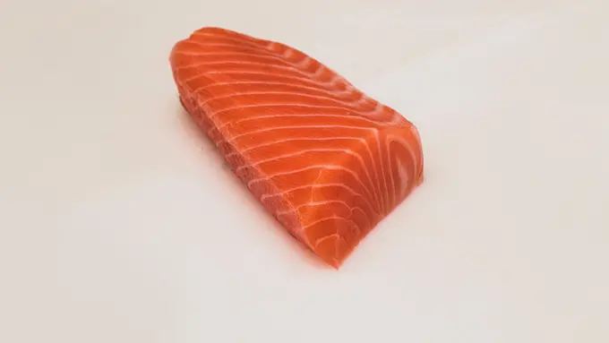 Contoh ilustrasi filet salmon
