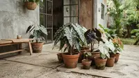 6 Model Teras dengan Keladi Hias dan Pot Terakota, Tampilan Tropis yang Estetik