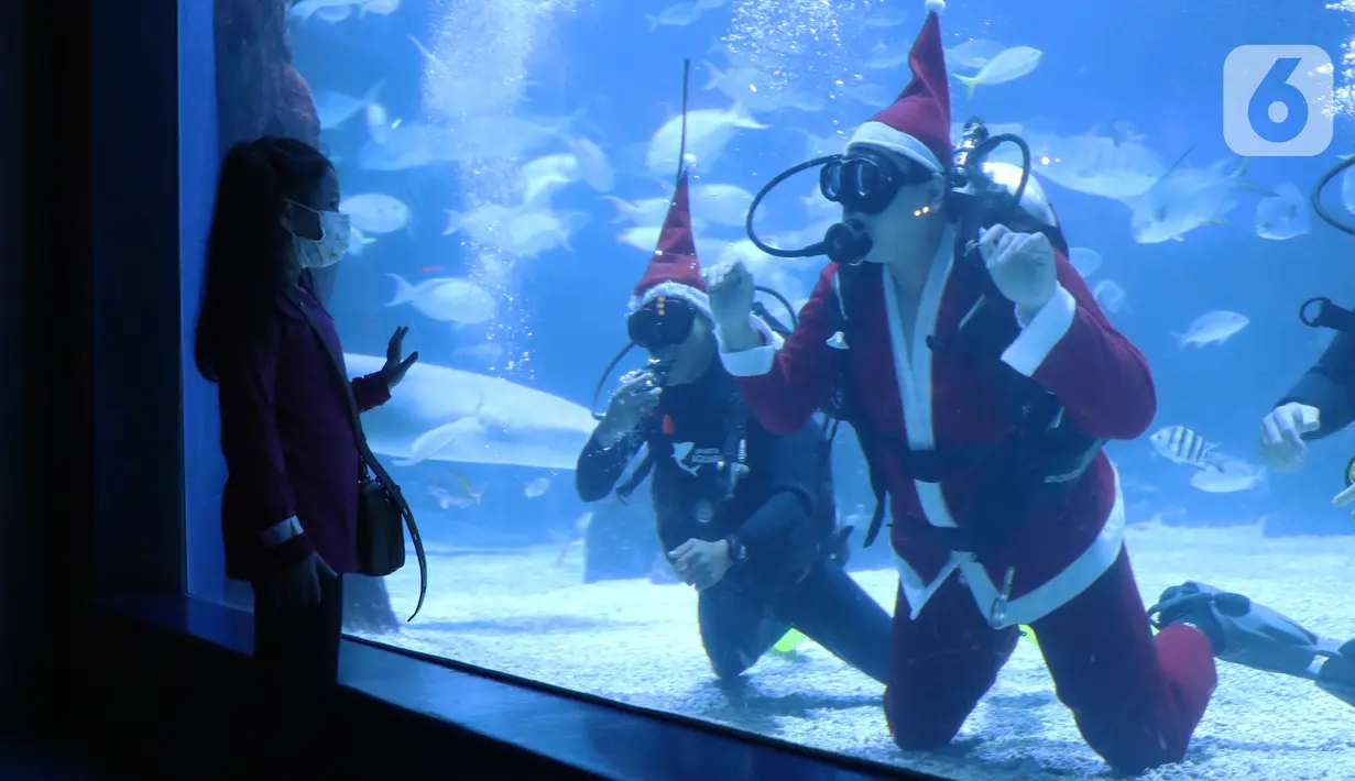 Seorang anak menyaksikan penyelam berkostum sinterklas di dalam air yang dihiasi pohon natal di Jakarta Aquarium dan Safari, Mal Neo Soho, Grogol, Jakarta, Kamias (24/12/2020). (Liputan6.com/Angga Yuniar)