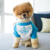 Jiff memiliki penggemar setia sampai 3 juta di instagram 