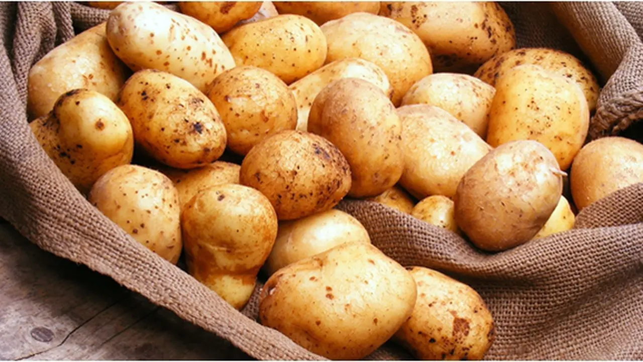 Courtesy ShutterStock.com