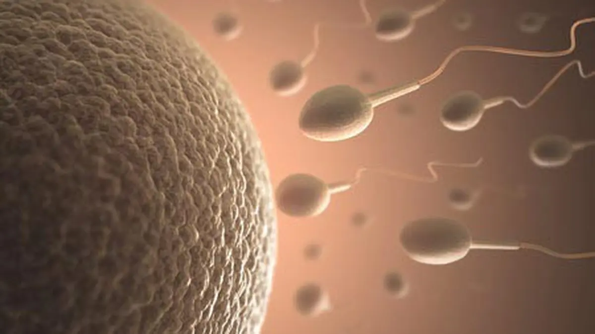 Perempuan 15 Tahun Positif Hamil Setelah Menelan Sperma - Health  Liputan6.com