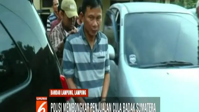 Polisi juga menangkap enam tersangka, satu di antaranya adalah oknum TNI berpangkat sertu yang bertugas sebagai babinsa di Bengkulu.