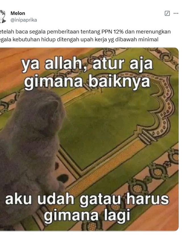 6 Curhatan Netizen Soal Kenaikan PPN 12 Persen Mulai 2025, Relate Banget