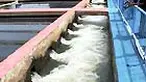 Setelah sempat membuat resah, pihak Aetra Air Jakarta memastikan produksi air minum bagi warga Jakarta kembali normal. IPA Pulogadung dapat memproduksi air dengan kapasitas 4.000 liter per detik.