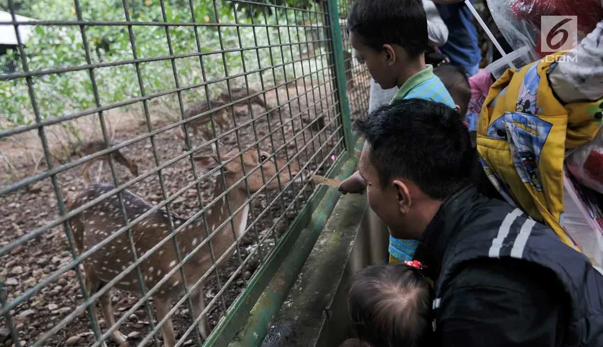Warga saat melihat binatang rusa di Taman Margasatwa Ragunan, Jakarta Selatan, Senin (26/6). Memasuki lebaran ke-2, warga menghabiskan waktu berkunjung ke taman rekreasi bersama keluarga. (Liputan6.com/Yoppy Renato)