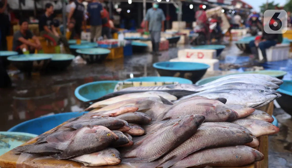 Suasana pasar ikan di Kamal Muara, Jakarta, Jumat (15/4/2022). Pasokan ikan dipastikan aman untuk kebutuhan selama Ramadhan 1443 Hijriah dan Hari Raya Idul Fitri, dengan perkiraan ketersediaan ikan tangkapan dan budidaya April dan Mei 2022 sebesar 2,99 juta ton. (Liputan6.com/Angga Yuniar)