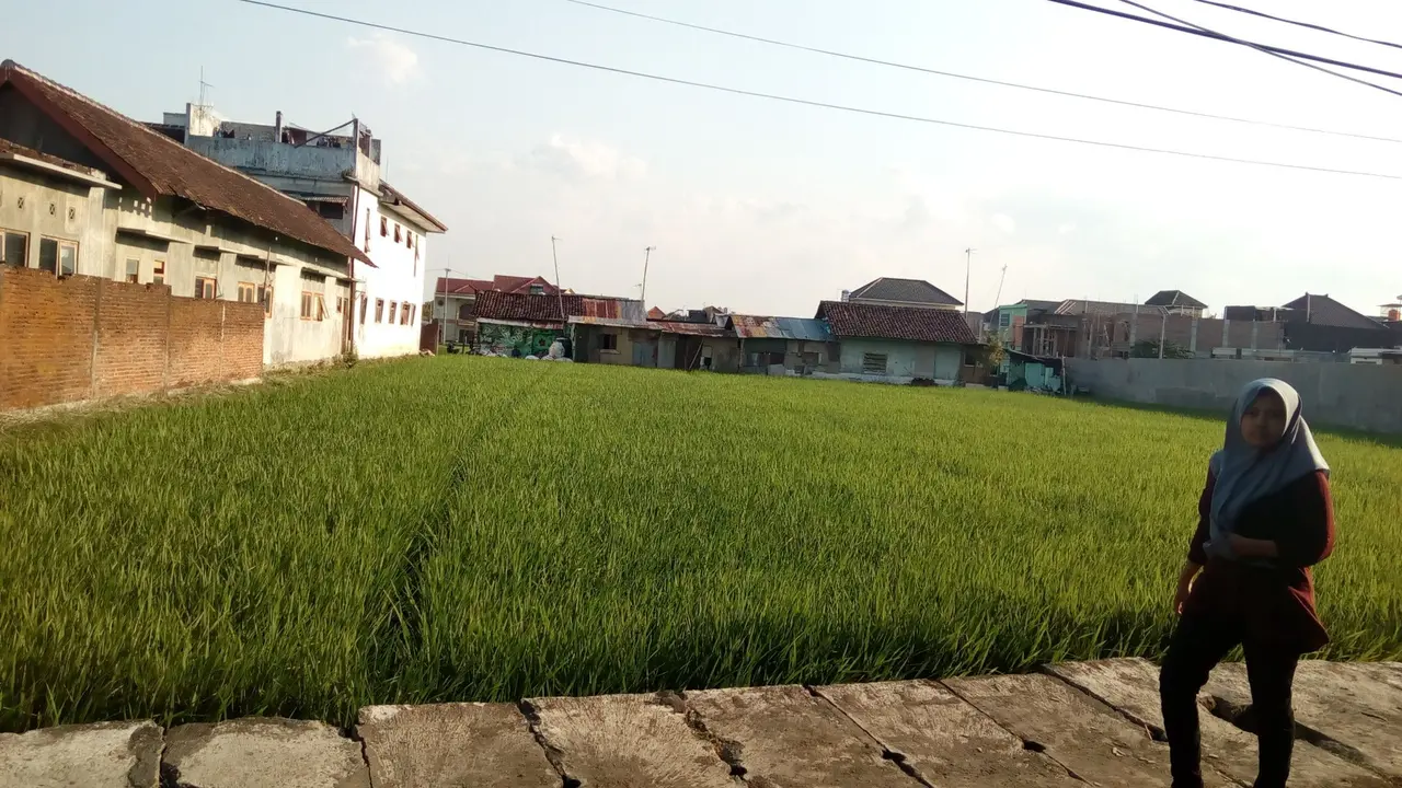 Petani dan Lahan Persawahan Makin Langka di Kota Malang