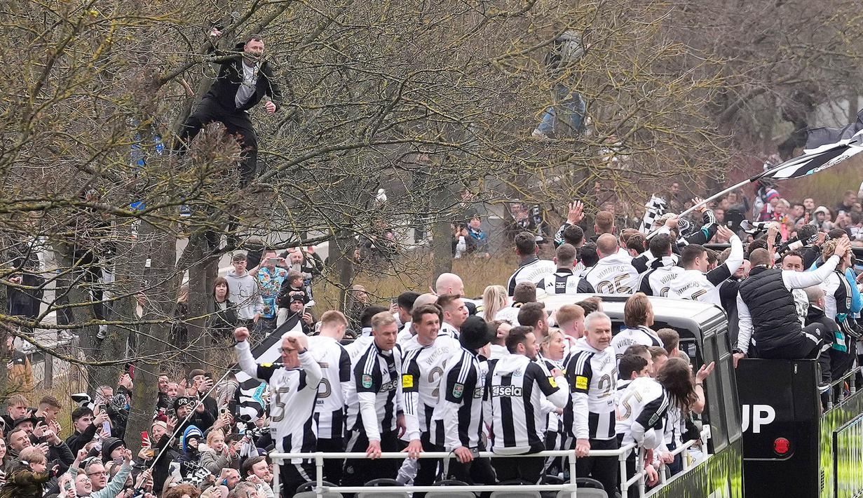 Seorang fans nekat memanjat pohon saat acara parade perayaan juara Newcastle United. (Danny Lawson/PA via AP)