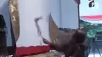 Rekaman amukan dalang Ki Anom viral di media sosial. Namun ternyata, hal tersebut merupakan gaya sang dalang mendalami tokoh wayang.