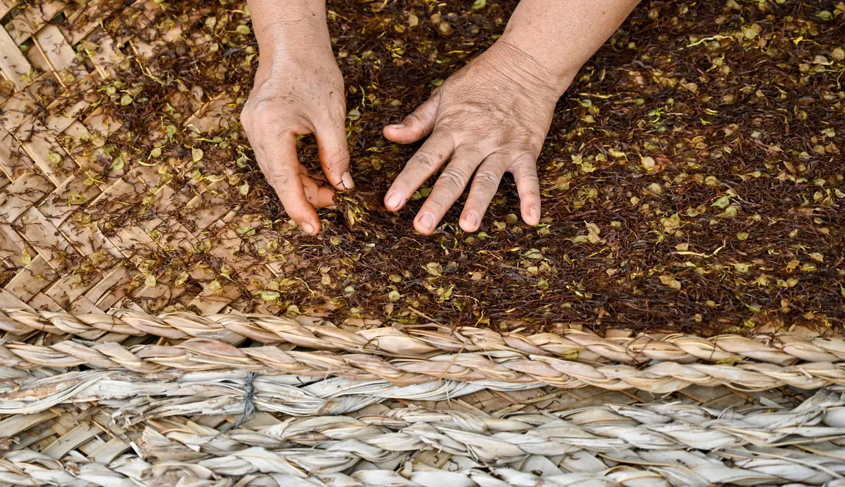 Ia menekankan bahwa regulasi ini berpotensi memicu gejolak ekonomi, meningkatkan angka pengangguran, dan menimbulkan masalah sosial yang lebih kompleks. (CHAIDEER MAHYUDDIN/AFP)