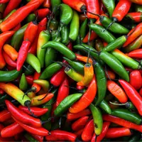 Kesehatan orang-orang dari zodiak ini sensitif dengan makanan-makanan pedas. (Via: popsci.com)