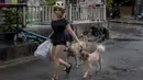 Anjing-anjing liar mengikuti seorang wanita yang secara rutin memberi mereka makan di Bangkok, Thailand, Rabu (17/6/2020). Keseharian warga Bangkok berangsur normal setelah pemerintah terus melonggarkan pembatasan terkait pandemi virus corona COVID-19. (AP Photo/Gemunu Amarasinghe)
