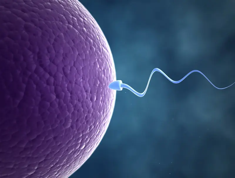 Ilustrasi Sperma (Via: livescience.com)