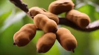 Asam jawa dapat digunakan sebagai obat tradisional untuk menurunkan kolesterol jahat, trigliserida, dan tekanan darah tinggi dengan cara tertentu. Pastikan untuk mengikuti panduan yang tepat. (Ilustrasi by AI)