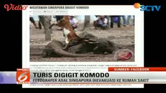 Seorang turis asal Singapura mengalami luka di bagian kaki akibat digigit komodo