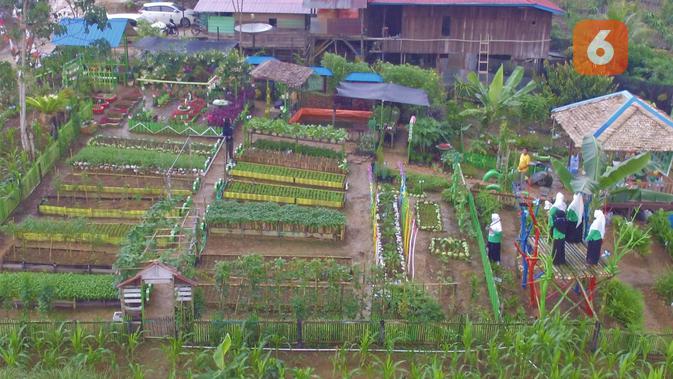 Dasawisma Asoka, satu dari 84 dasawisma di Desa Batuah, Kecamatan Loa Janan, Kabupaten Kutai Kartanegara yang memiliki kebun indah.
