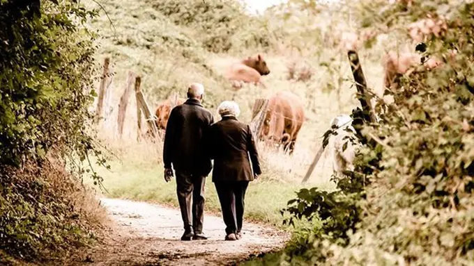 Kunci pernikahan bahagia/copyright Pixabay.com/PaelmerPhotoArts