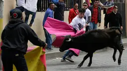 Seorang pria melemparkan jubahnya pada banteng muda dalam acara lari dikejar banteng di Pillaro, Ekuador, 4 Agustus 2018. Dalam acara ini, lusinan banteng dilepas dan berlari menabraki para pengunjung yang memadati jalan. (AP/Dolores Ochoa)