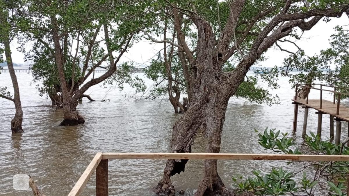 Kampung Tua dan Desa Wisata Ini Terancam Diambil Alih Pemilik Modal