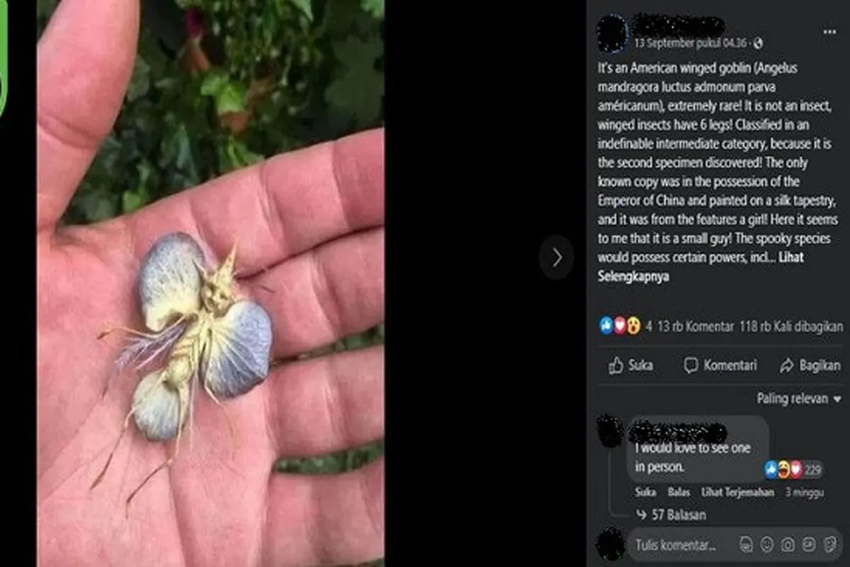 Gambar Tangkapan Layar Foto yang Diklaim Penampakan Goblin Bersayap (sumber: Facebook).