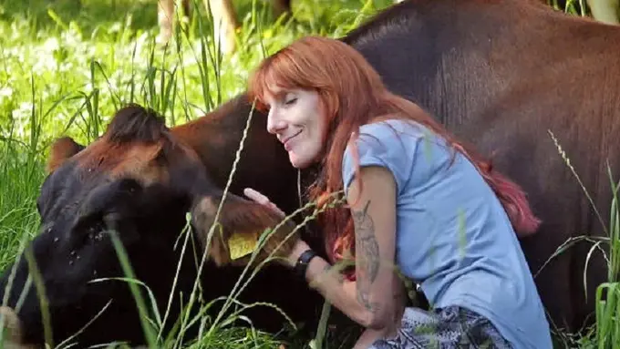 [Bintang] Terapi peluk sapi