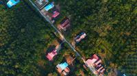 Perkebunan kelapa sawit di Kubu Raya, Kalbar. (Foto: Liputan6.com/Aceng Mukaram)