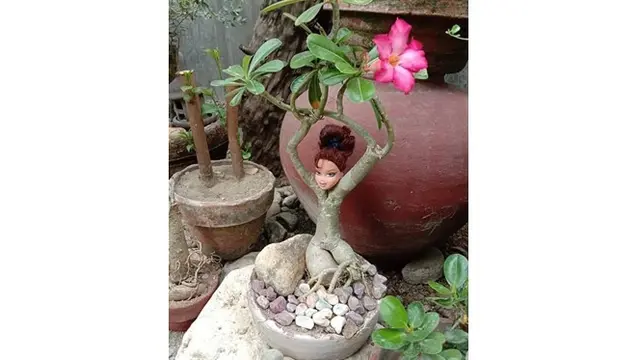 5 Potret Tanaman Didandani Bak Manusia Ini Bikin Geleng Kepala