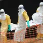 Penyebaran virus Ebola ini telah menewaskan 84 orang di Guinea mencapai tingkat tertinggi, menurut data pemerintah Guinea (AFP PHOTO / SEYLLOU)