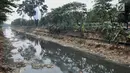 Tumpukkan sampah dan air yang berwarna hitam pekat memenuhi aliran Kanal Banjir Barat, Jakarta, Minggu (22/9/2019). Minimnya pengawasan Pemprov DKI menyebabkan aliran di sepanjang Kanal Banjir Barat menghitam dan penuh sampah hingga menimbulkan bau tak sedap. (merdeka.com/Iqbal S Nugroho)