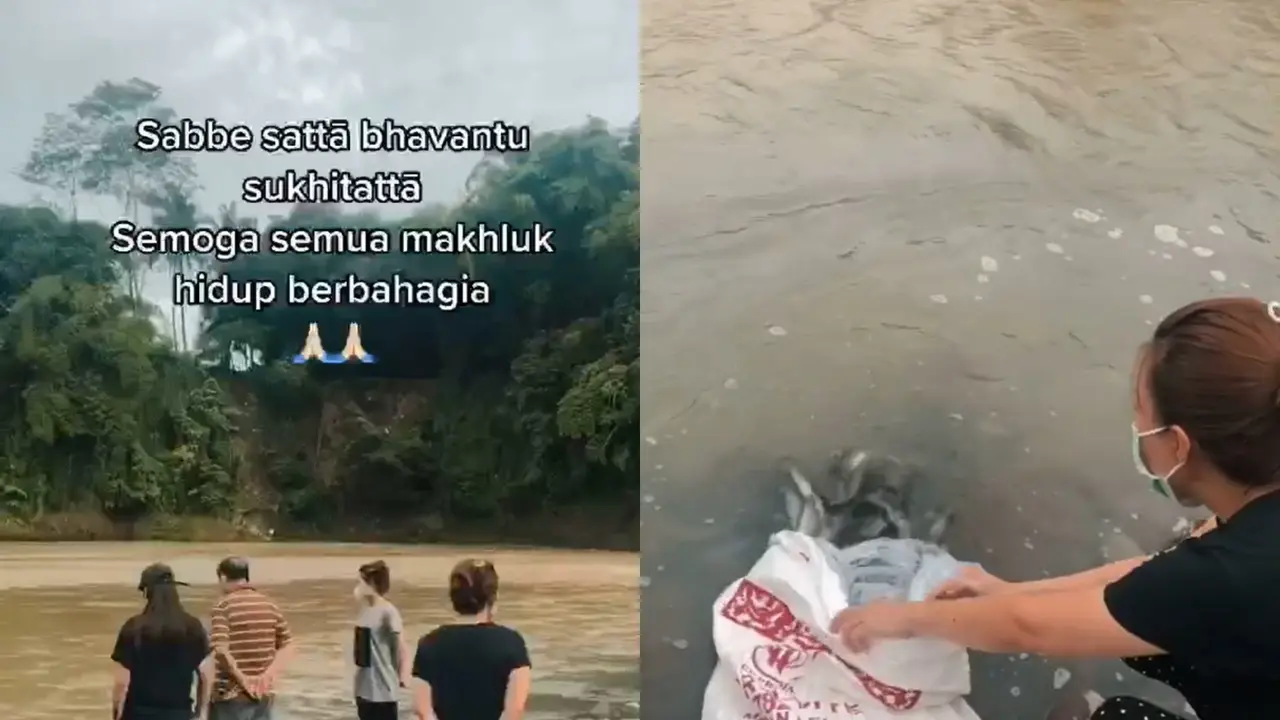 Sebuah keluarga lepas ikan lele ke sungai habitat aslinya.
