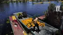 Pekerja mengangkut Marigold dengan perahu melalui Kanal Xochimilco di pinggiran Mexico City, Meksiko, 13 Oktober 2021. Di Meksiko, Marigold juga dikenal sebagai cempasúchil atau bunga kematian dan digunakan pada perayaan Day of the Dead atau Hari Kematian setiap 2 November. (AP Photo/Marco Ugarte)