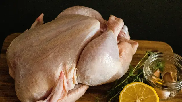 Ilustrasi Daging Ayam
