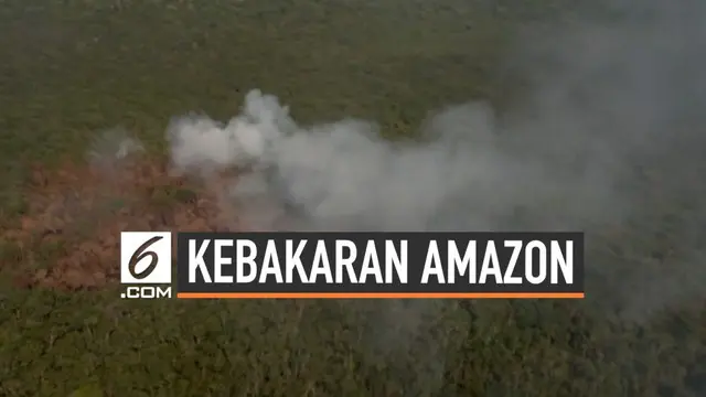 Hingga kini kebakaran terus terjadi di hutan hujan Amazon. Kebakaran malah merambah wilayah yang sebelumnya tidak memiliki titik api.