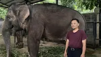 Kisah di Balik Polemik Bandung Zoo: Ketika Jeje Cemas Berpisah dengan 'Ira'
