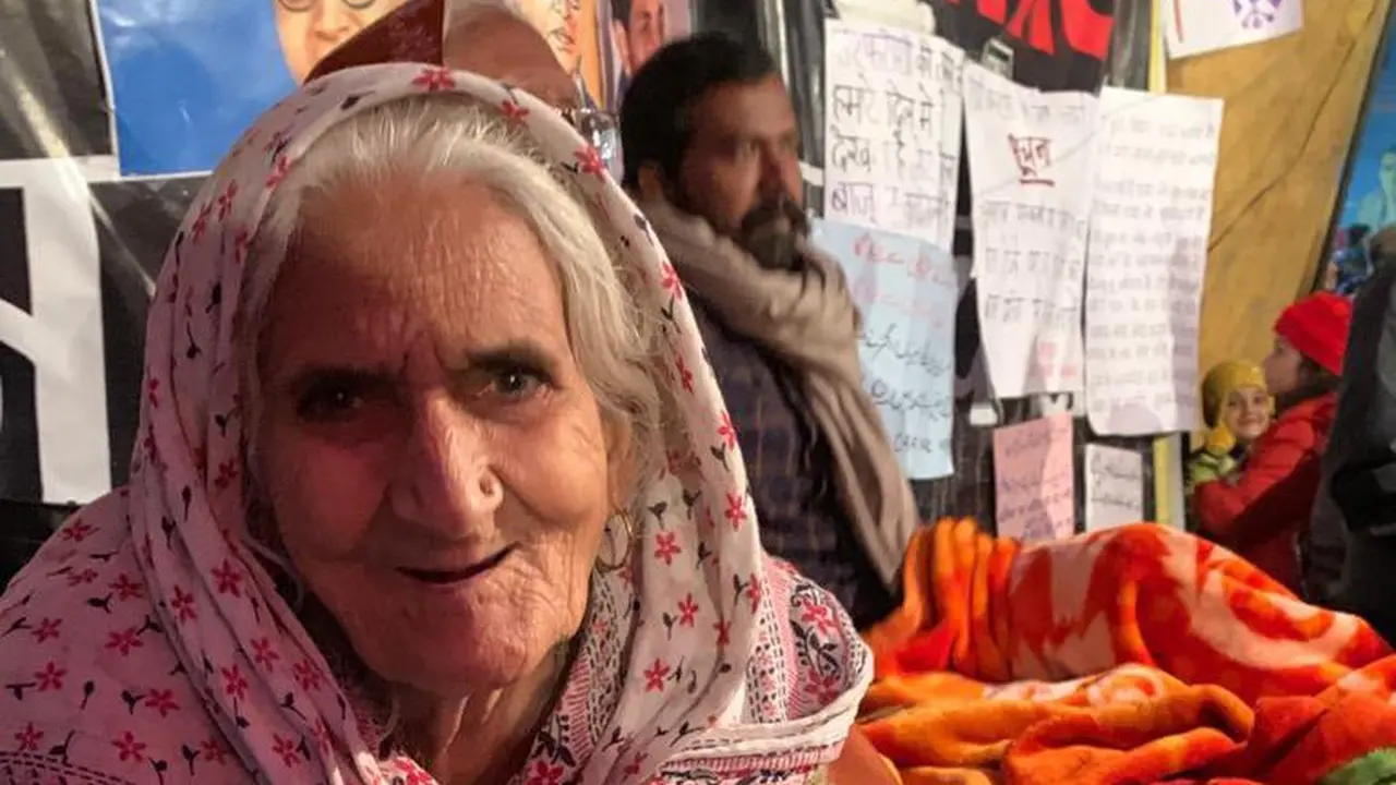 Bilkis dari Shaheen