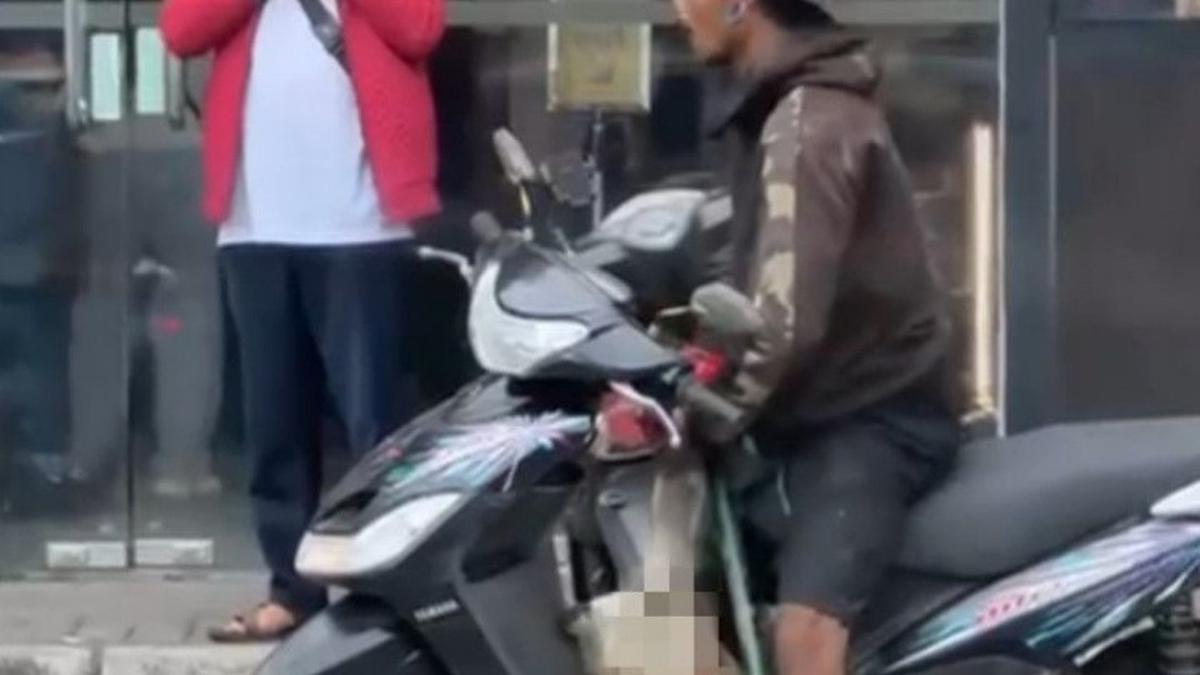 Pria di Mataram Pukul Anjing Pakai Besi sampai Mati Lalu Dijual ke Ibu-Ibu