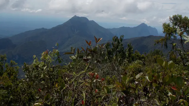 Gunung Api dan Gunung Benarat dilihat dari Puncak Gunung Mulu
